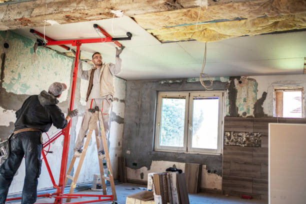 Best Insulation Materials and Products in Altamont, IL