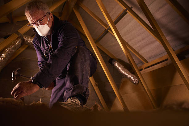 Best Commercial Insulation in Altamont, IL