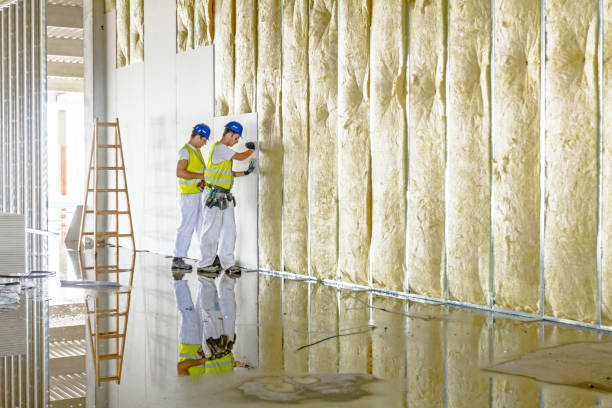 Best Specialty Insulation in Altamont, IL